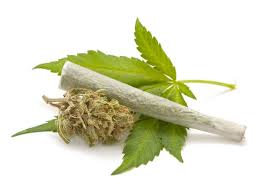Three arrested for possession of ganja